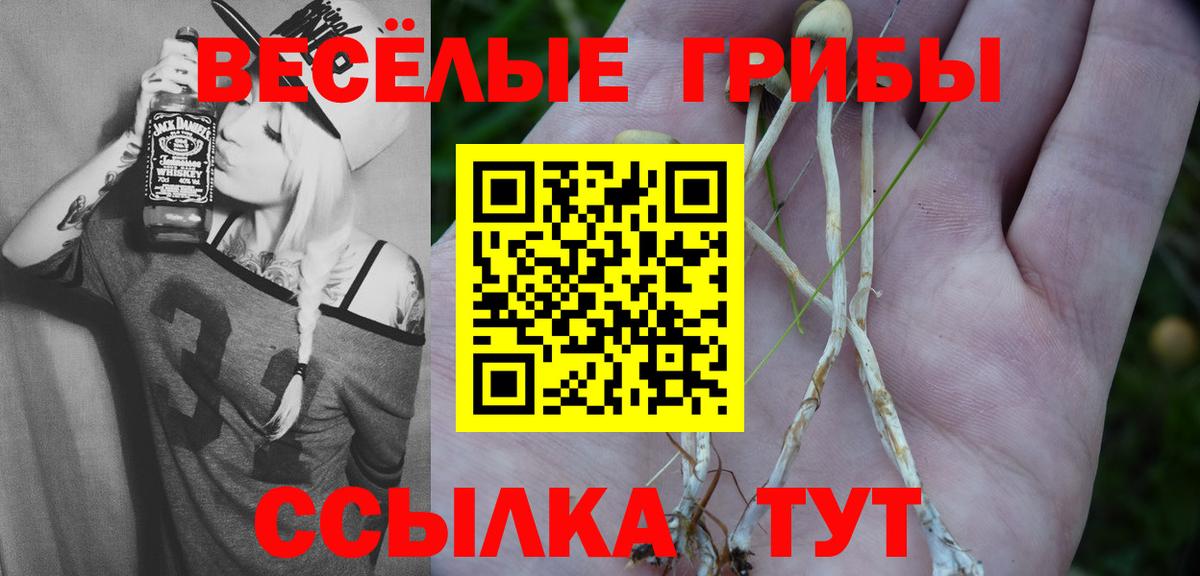 Псилоцибиновые грибы Cubensis Элиста