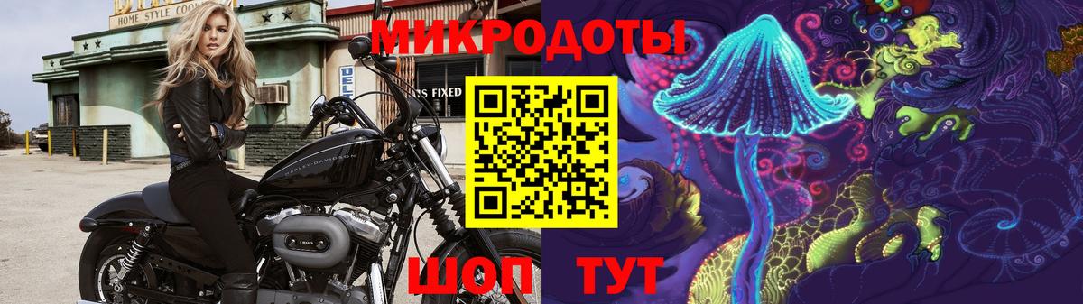 Галлюциногенные грибы Magic Shrooms  Вход с VPN  продажа наркотиков  Элиста 